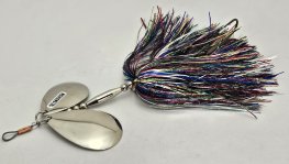 Rainbow Trout